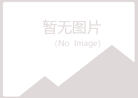 平原县字迹咨询有限公司